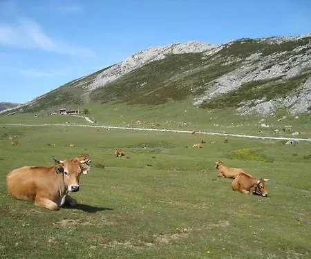 El Fondon 2 Apartament *